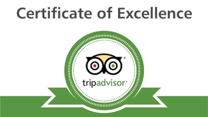 Tripadvisor reviews
